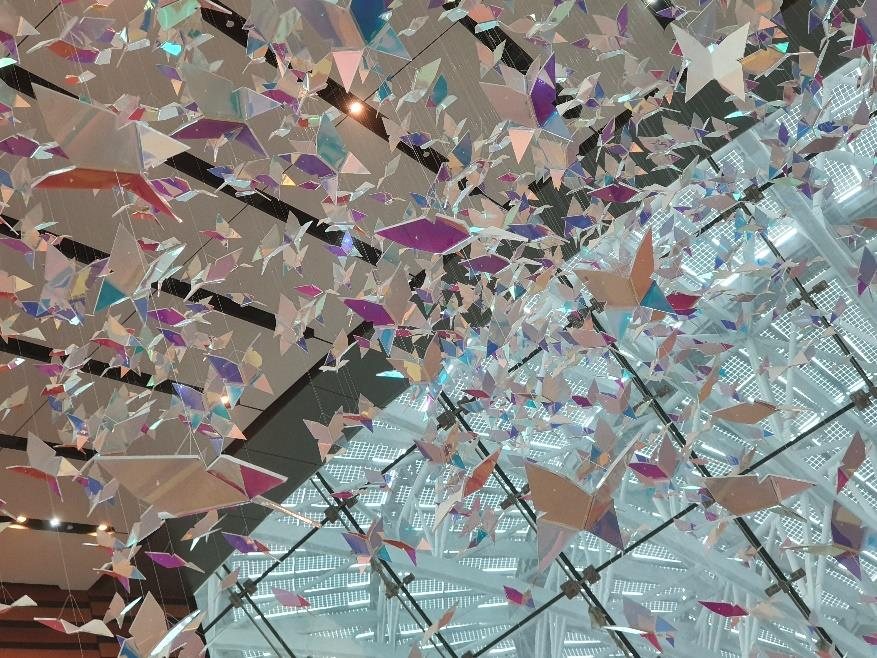 Acrylic Dichroic Butterflies — Expo